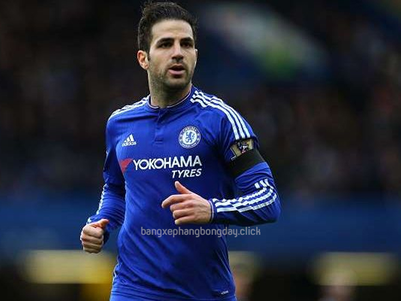 Cesc Fabregas – Tiền Vệ Chelsea Xuất Sắc Bậc Nhất Thế Giới